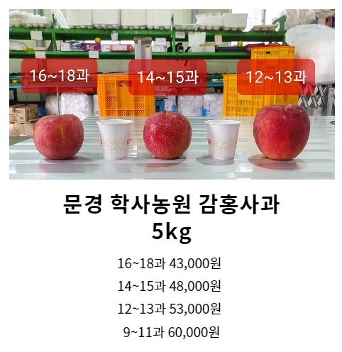 (주)황금사과 이미지