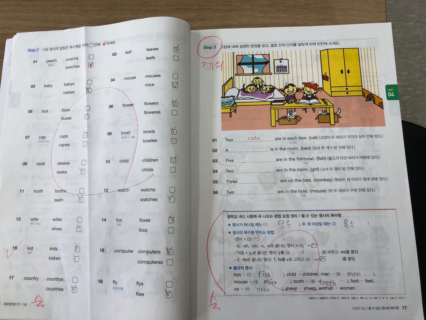 모전초등학교 이미지