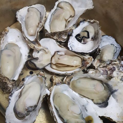 석화 이미지