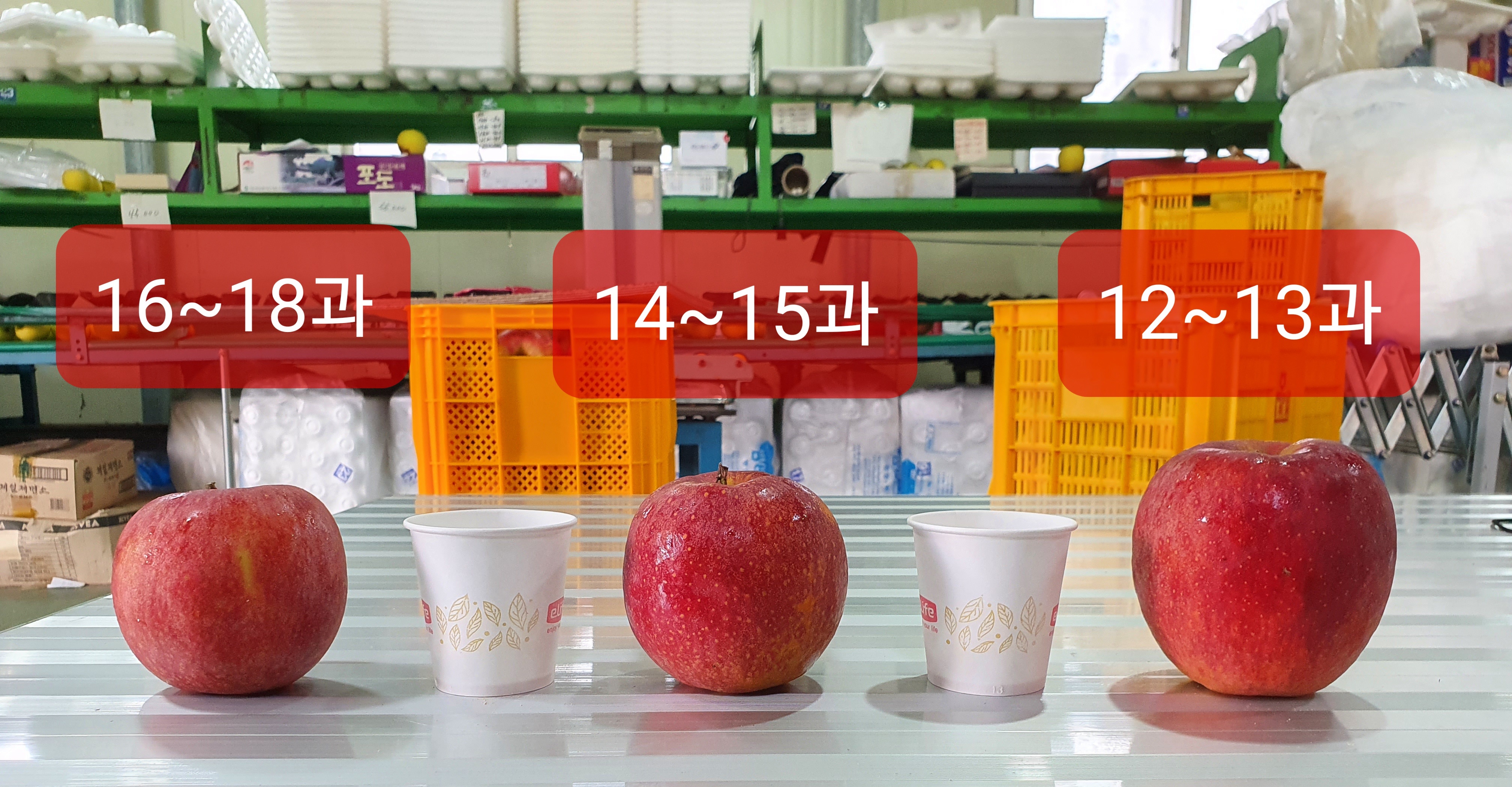 (주)황금사과 이미지