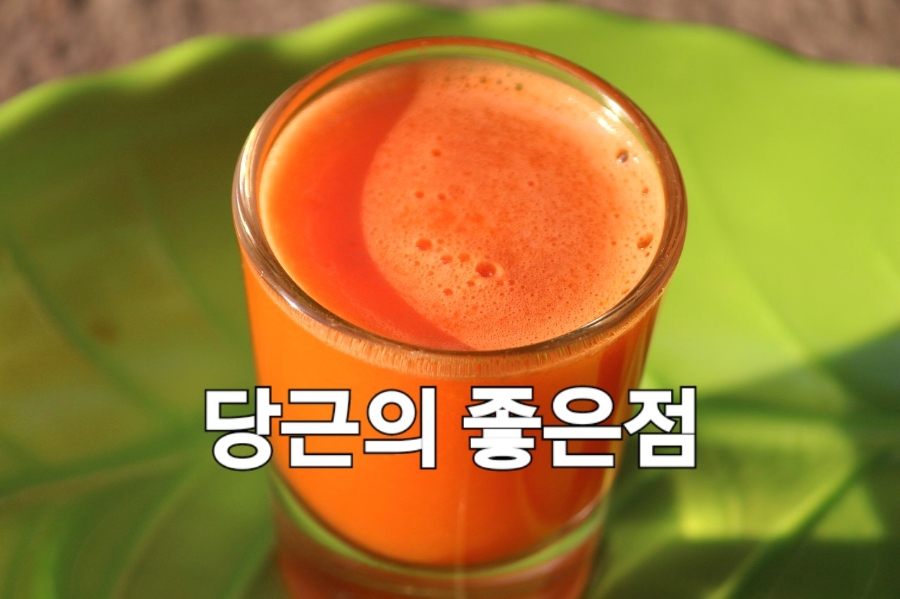 한방영양식품 이미지