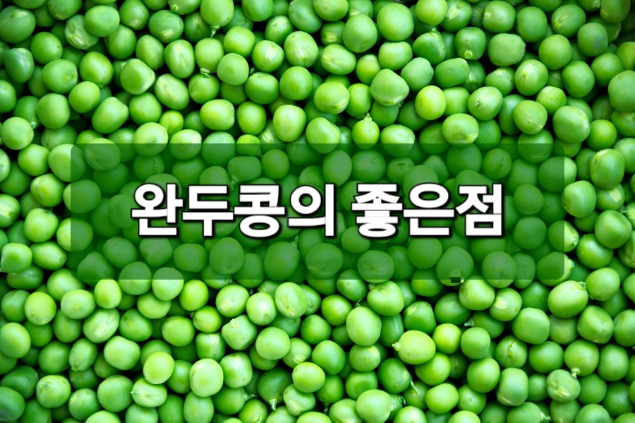 완두콩 이미지