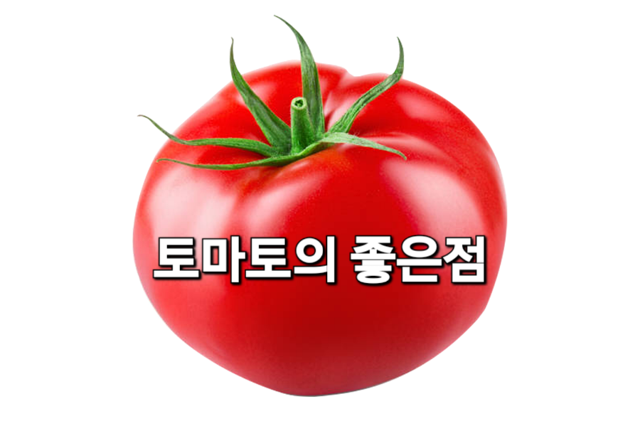토마토푸드 이미지