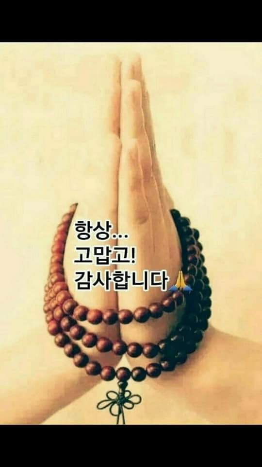 폰사자 이미지