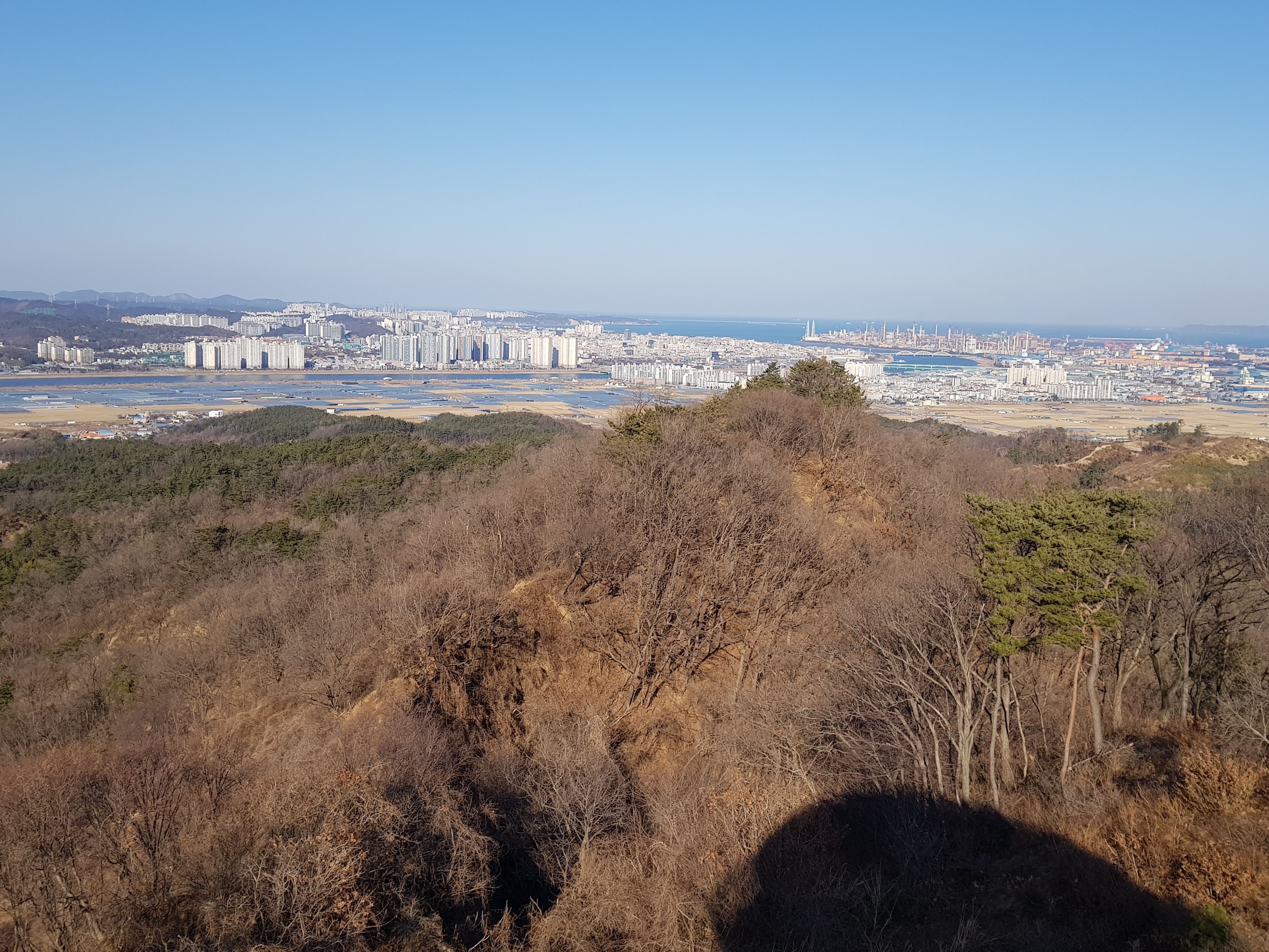 옥녀봉 전망대 이미지