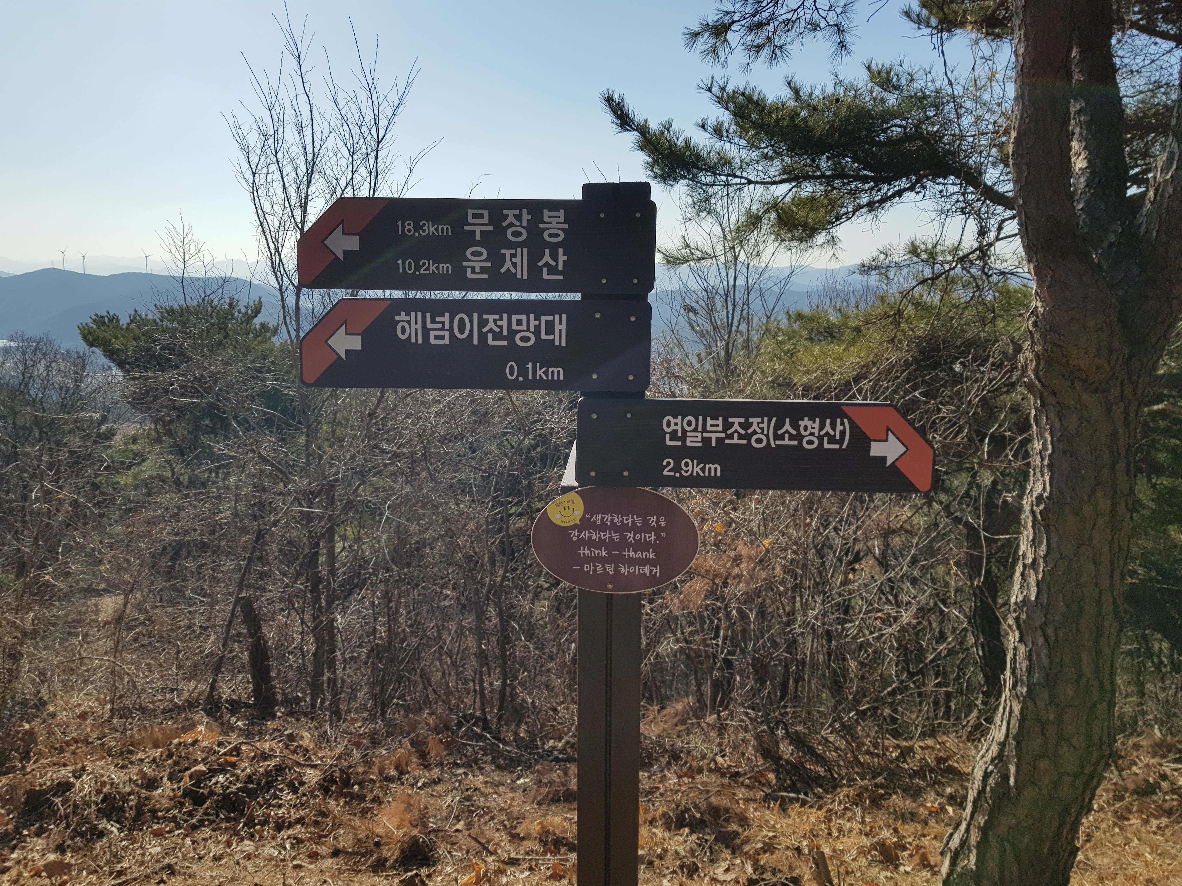 옥녀봉 전망대 이미지