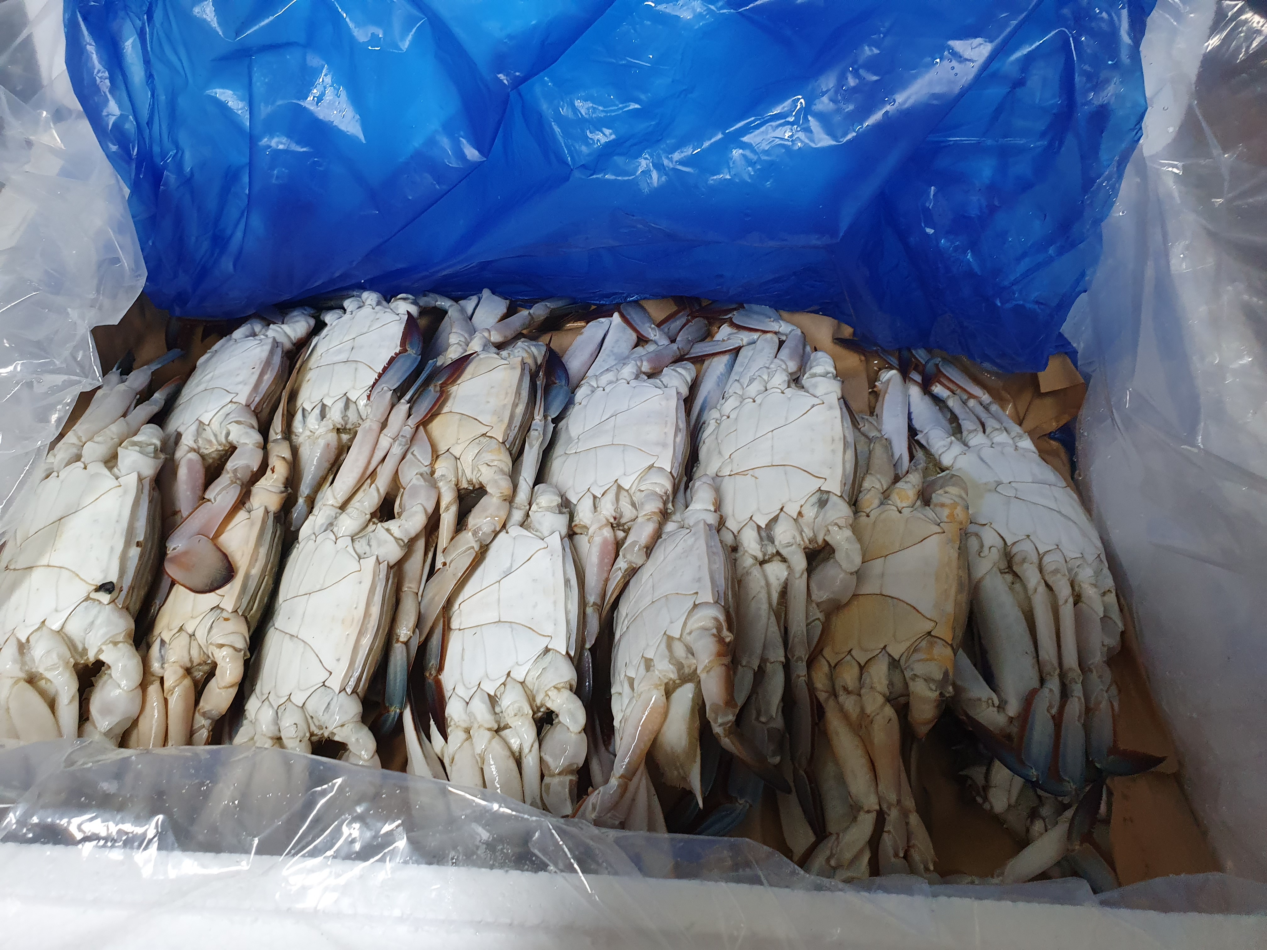 유신수산 이미지