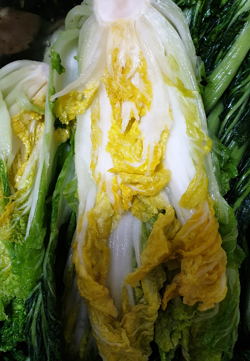 청방 이미지