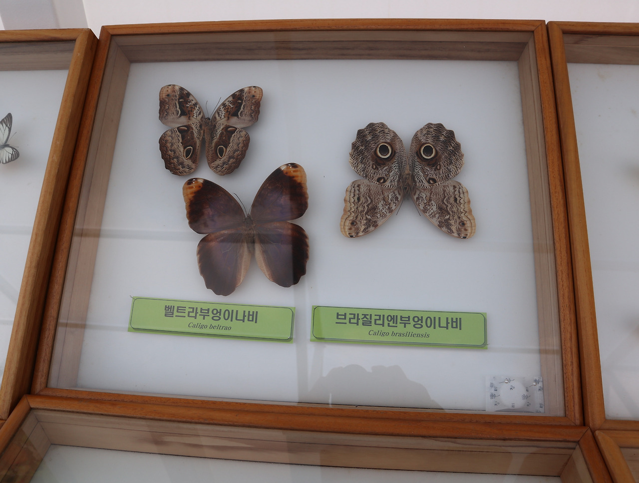 먹거리마당 이미지