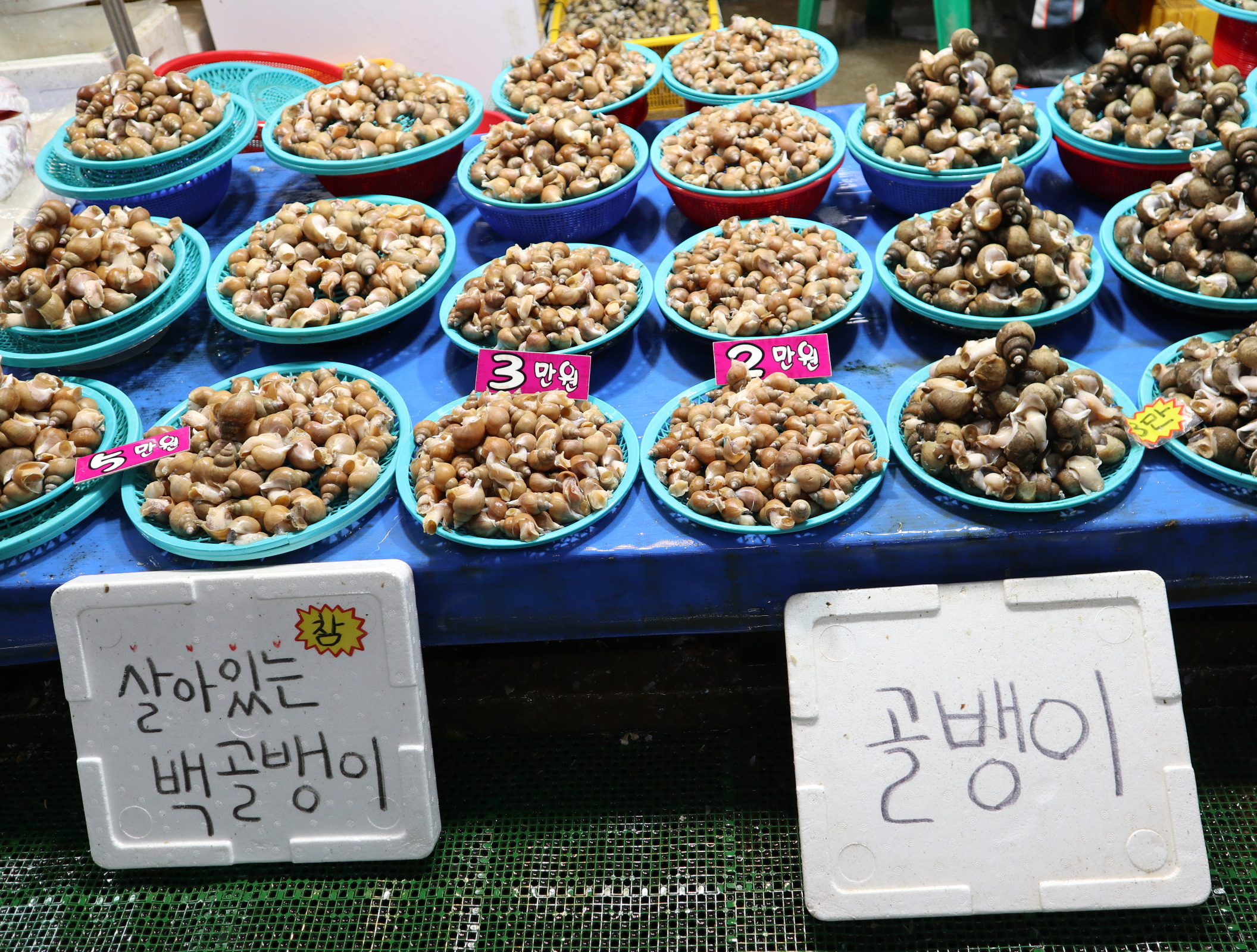 북청집 이미지