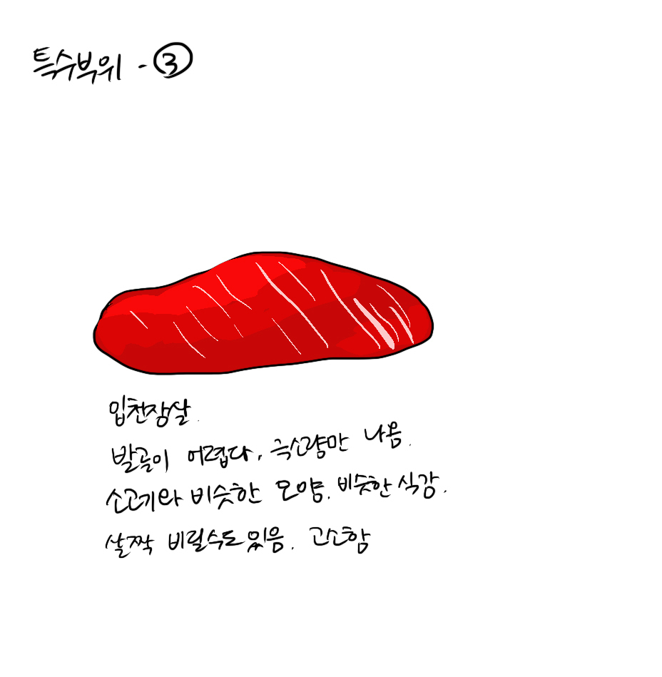 참치여행 이미지