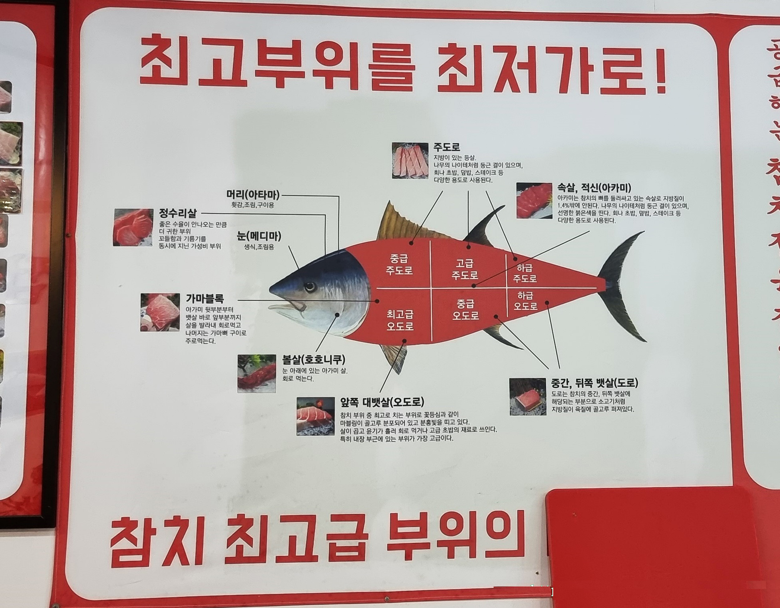 참치여행 이미지