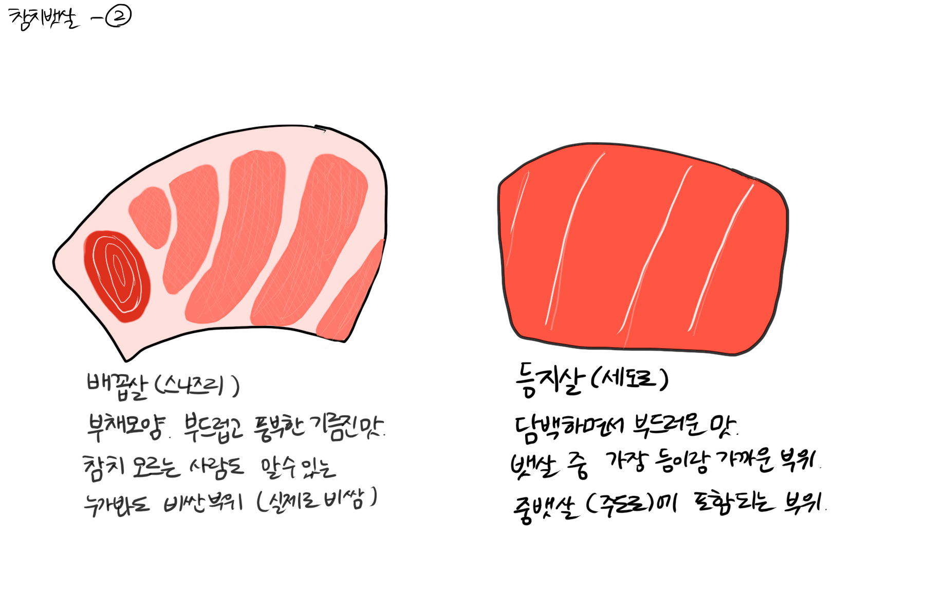 참치여행 이미지