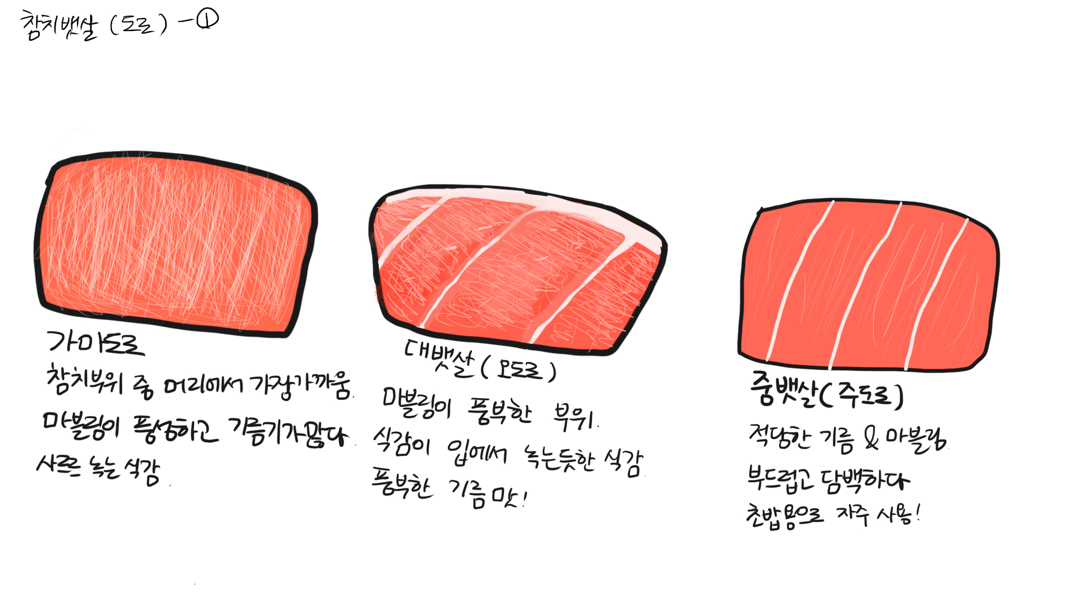 참치여행 이미지