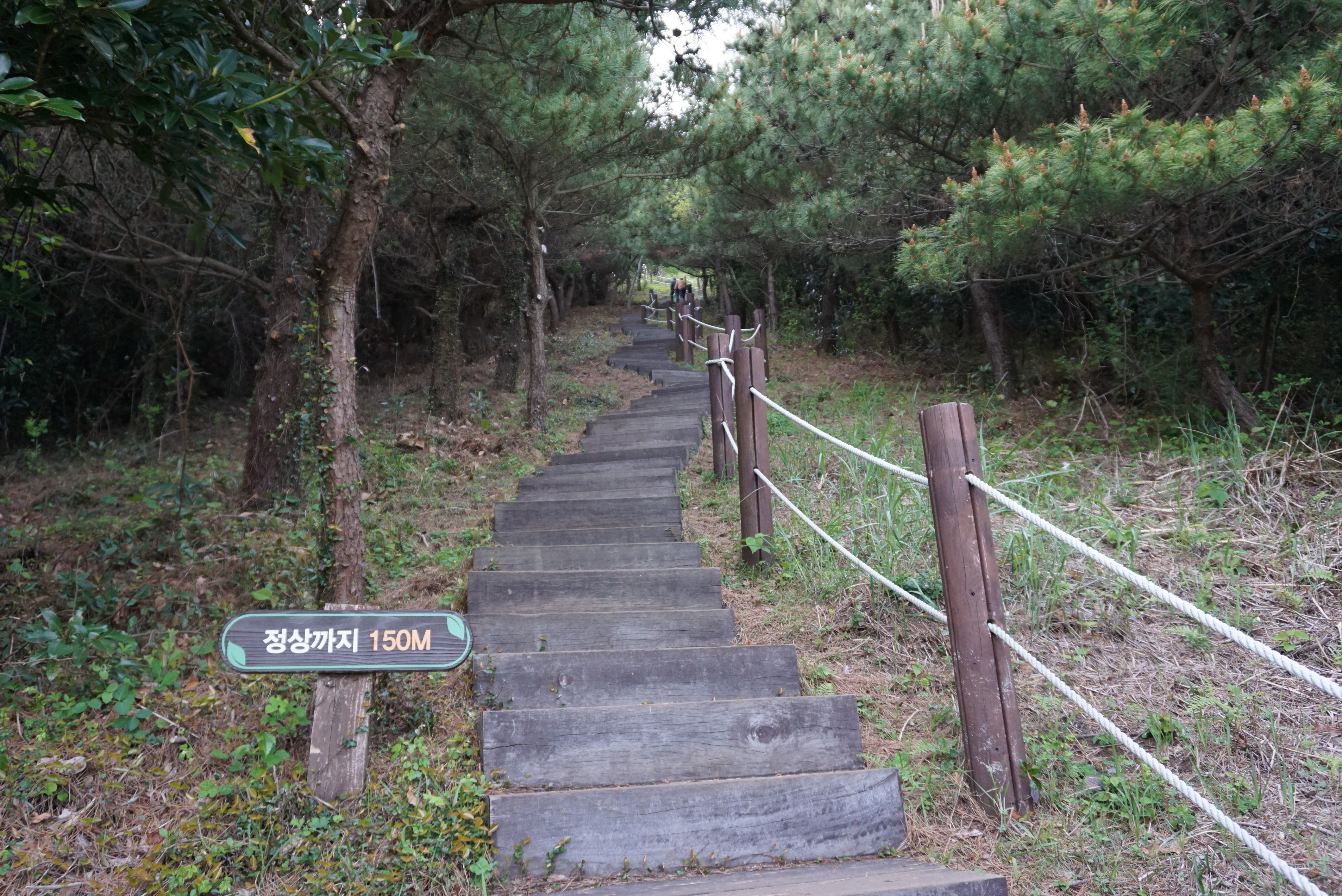 지미돈 이미지