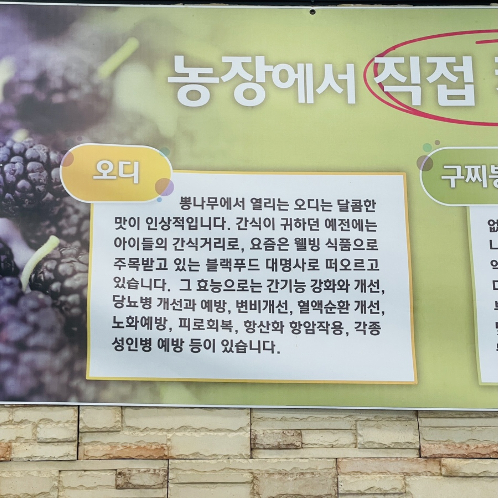오색향 이미지