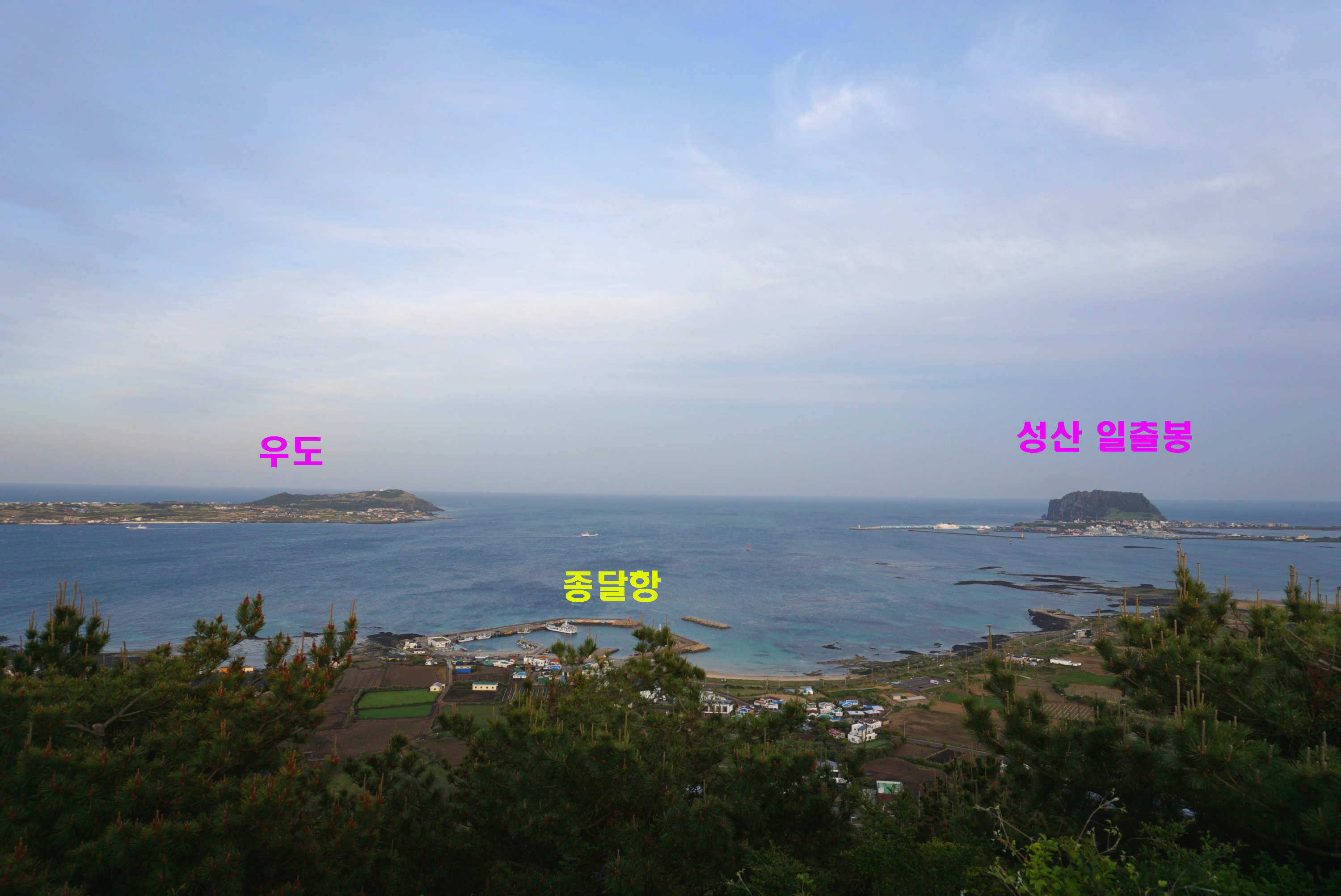 지미돈 이미지