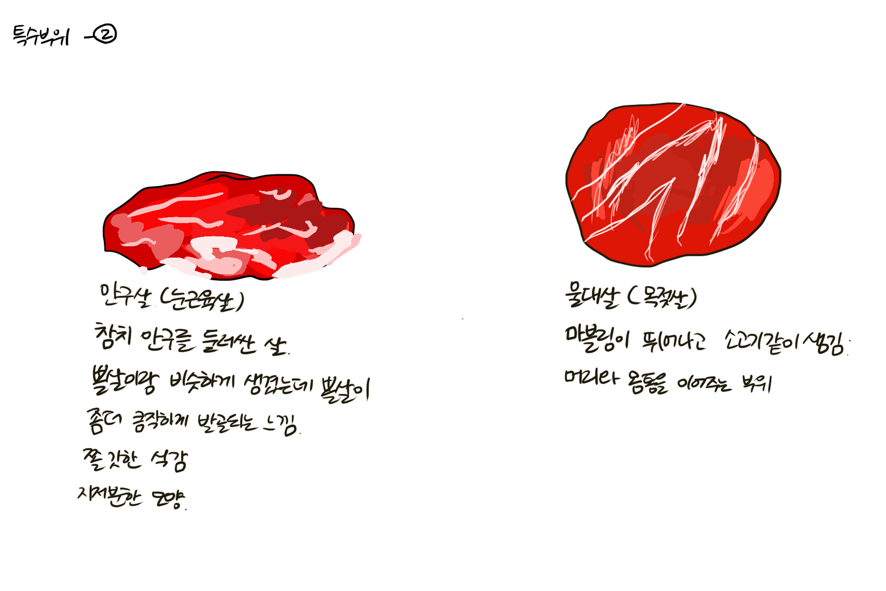 참치여행 이미지