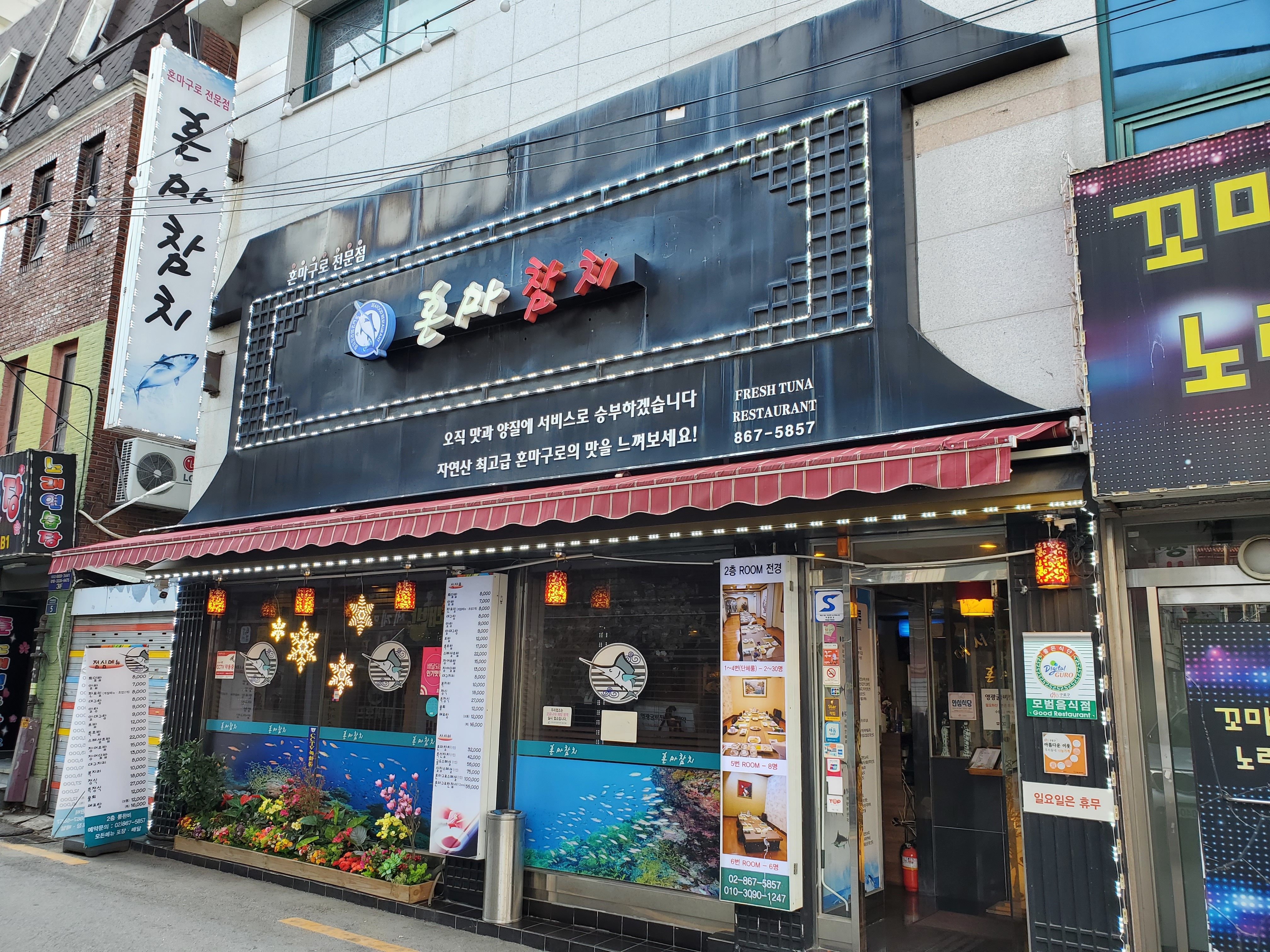 참치여행 이미지
