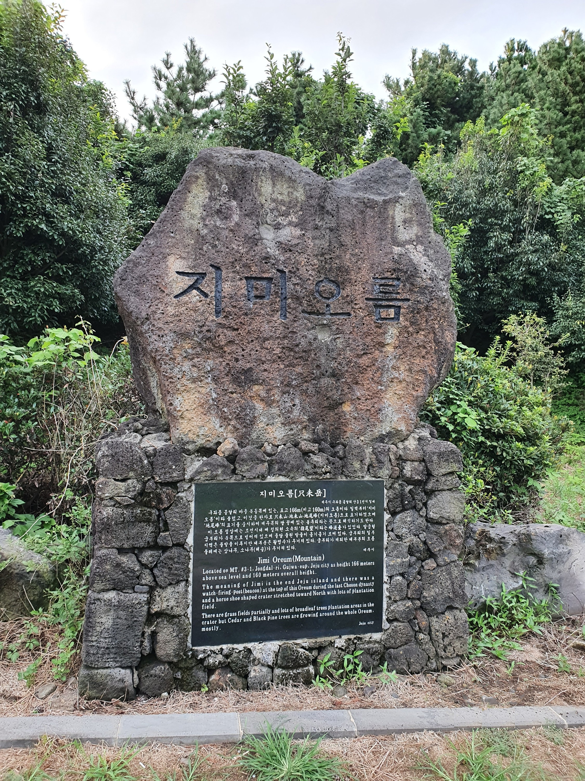 지미돈 이미지