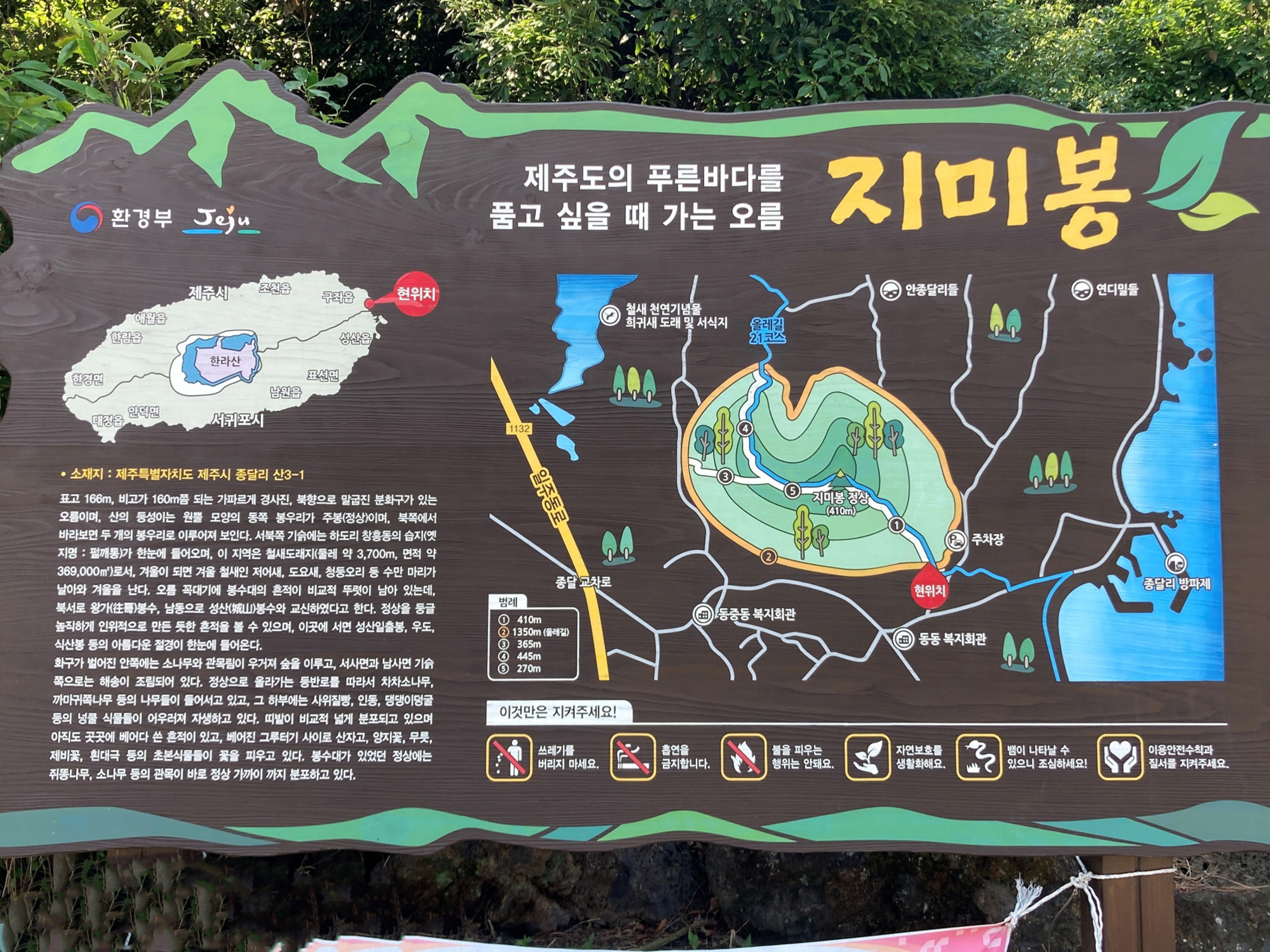 지미돈 이미지
