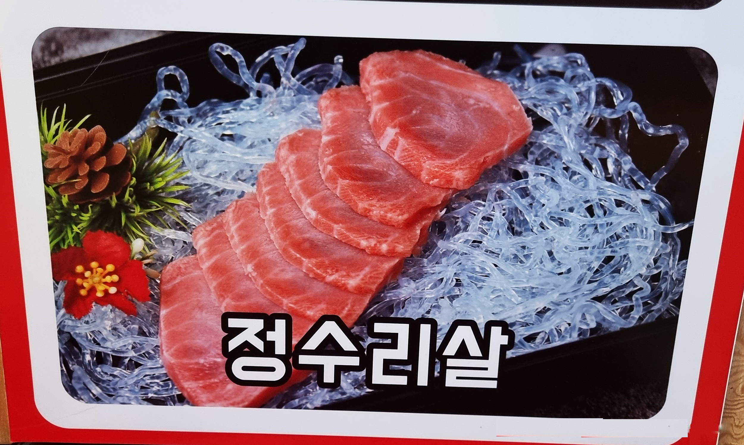참치여행 이미지