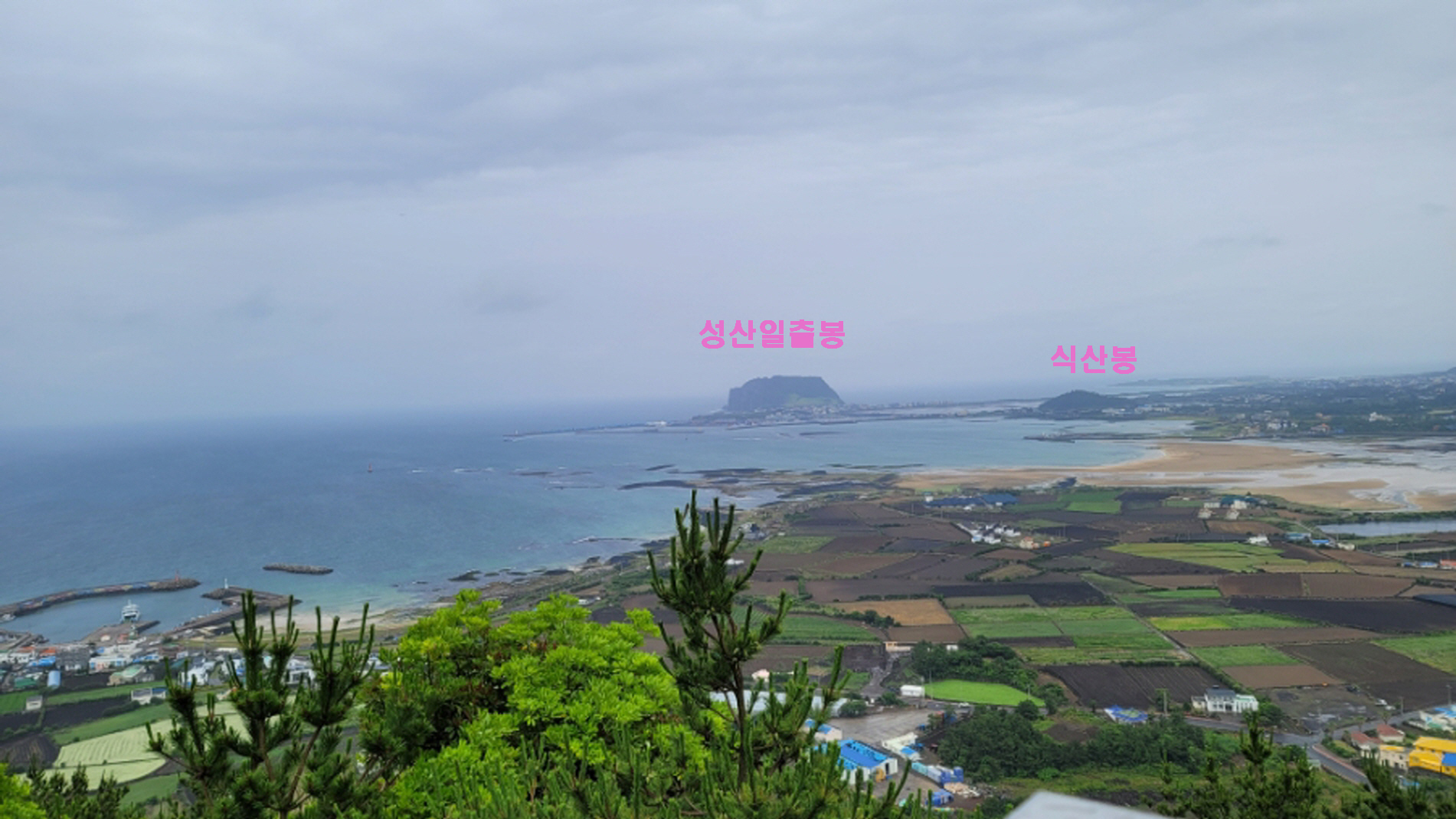 지미돈 이미지