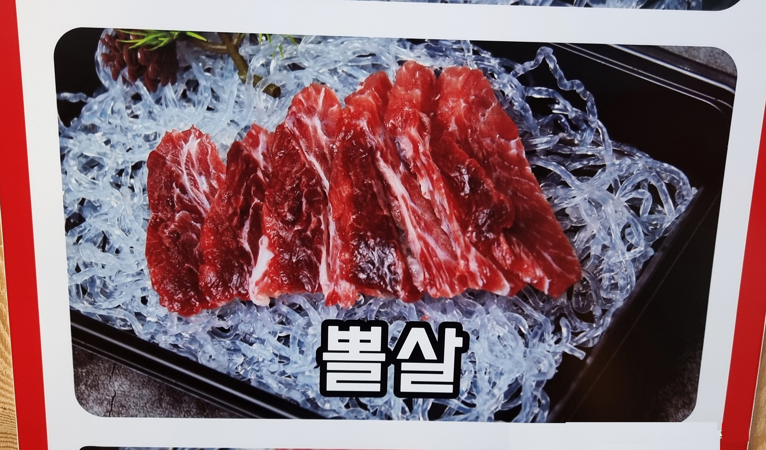 참치여행 이미지