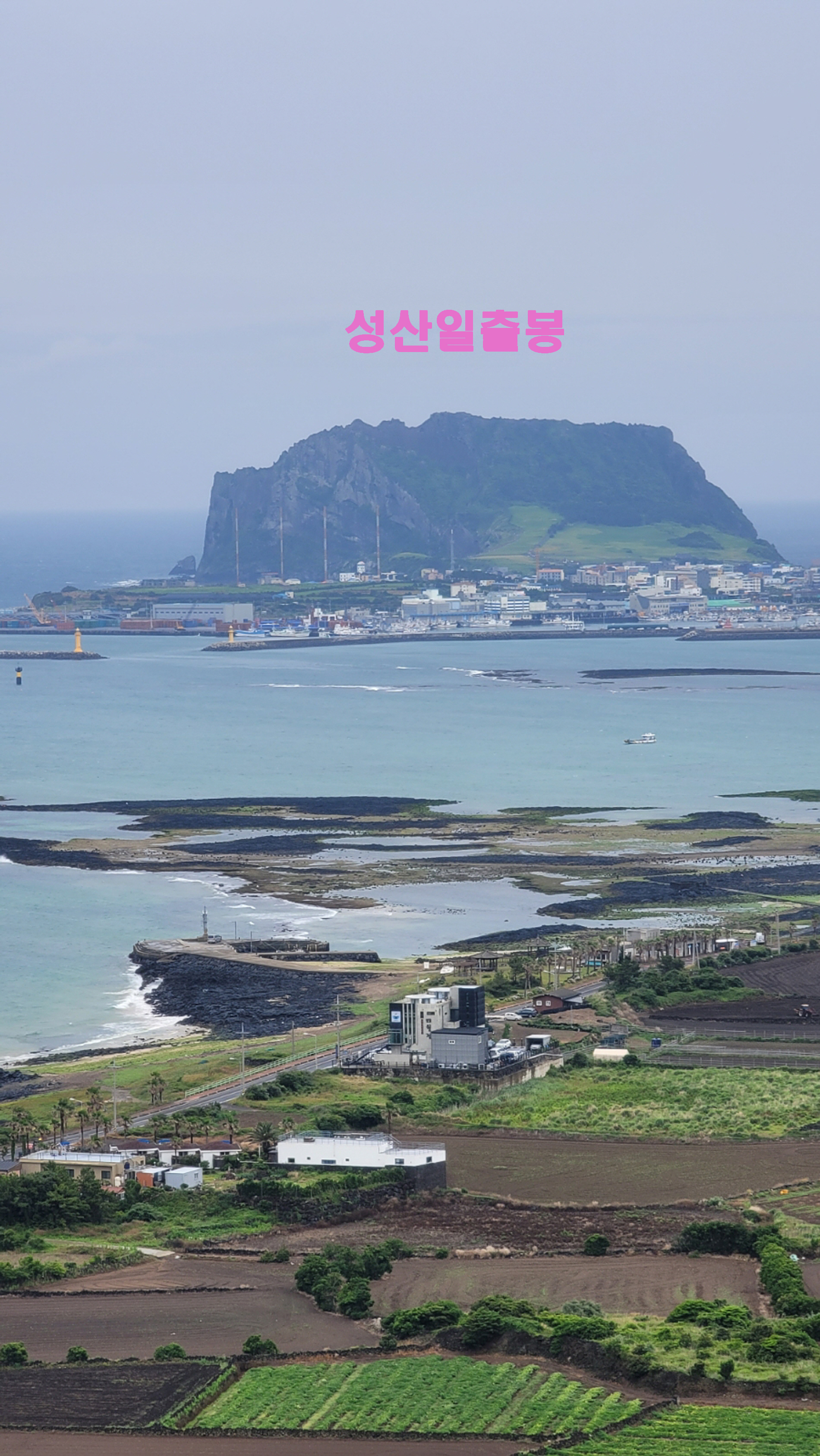 지미돈 이미지
