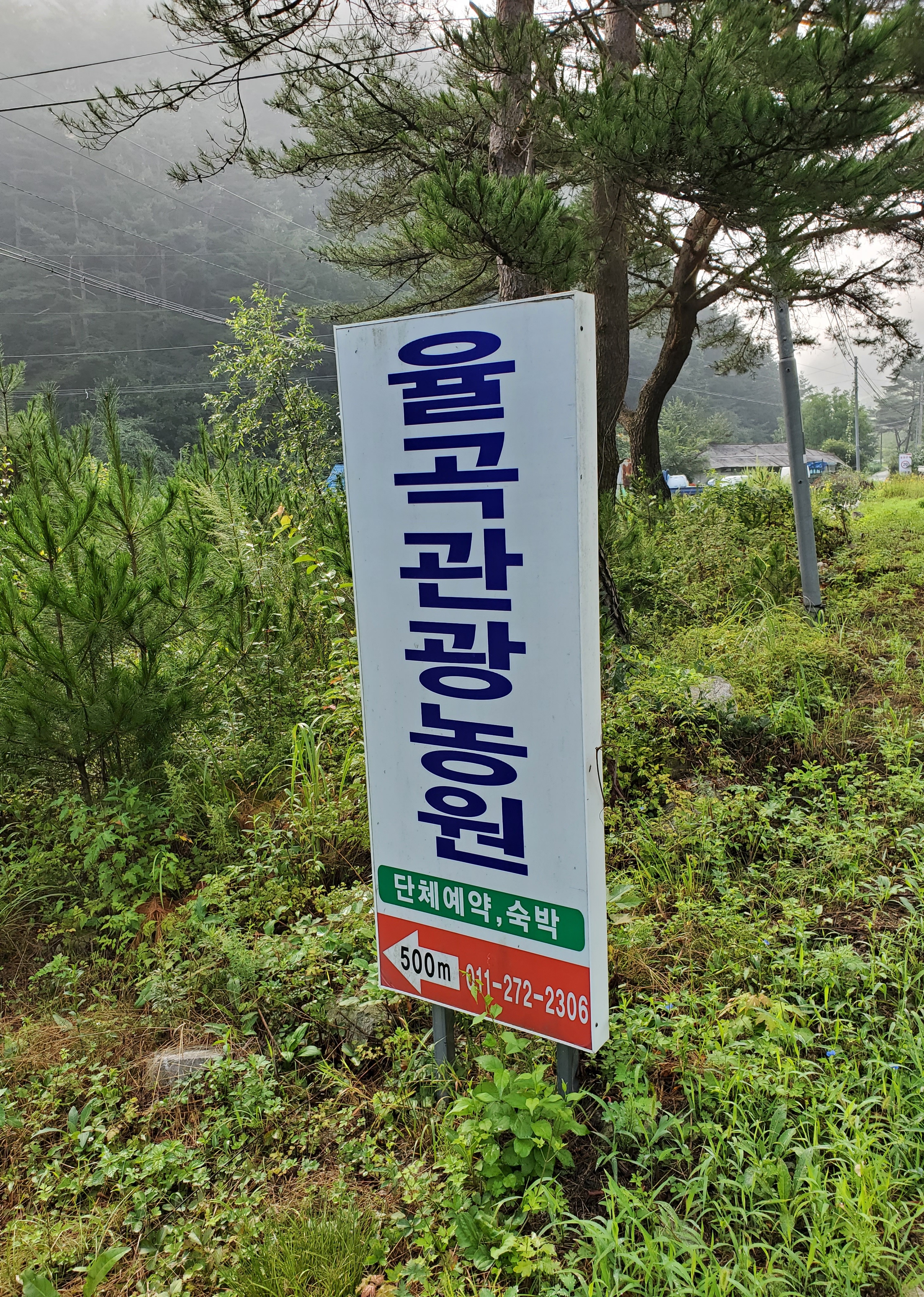여행숲 이미지