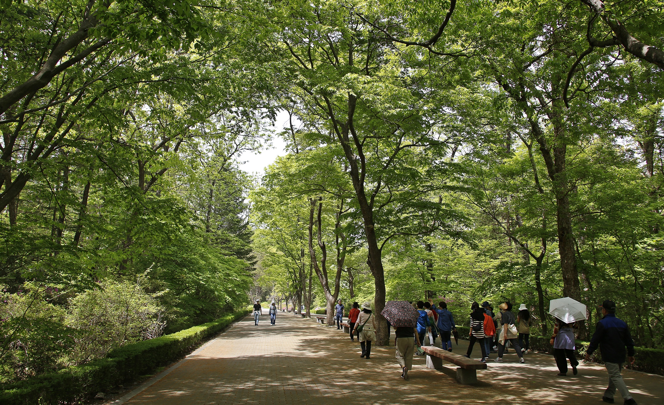 국립수목원 이미지