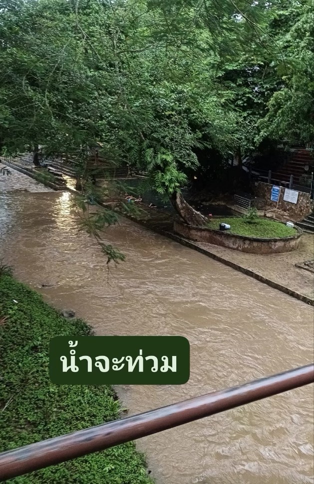 그린월드 이미지
