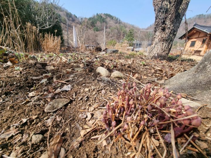산골이야기 이미지