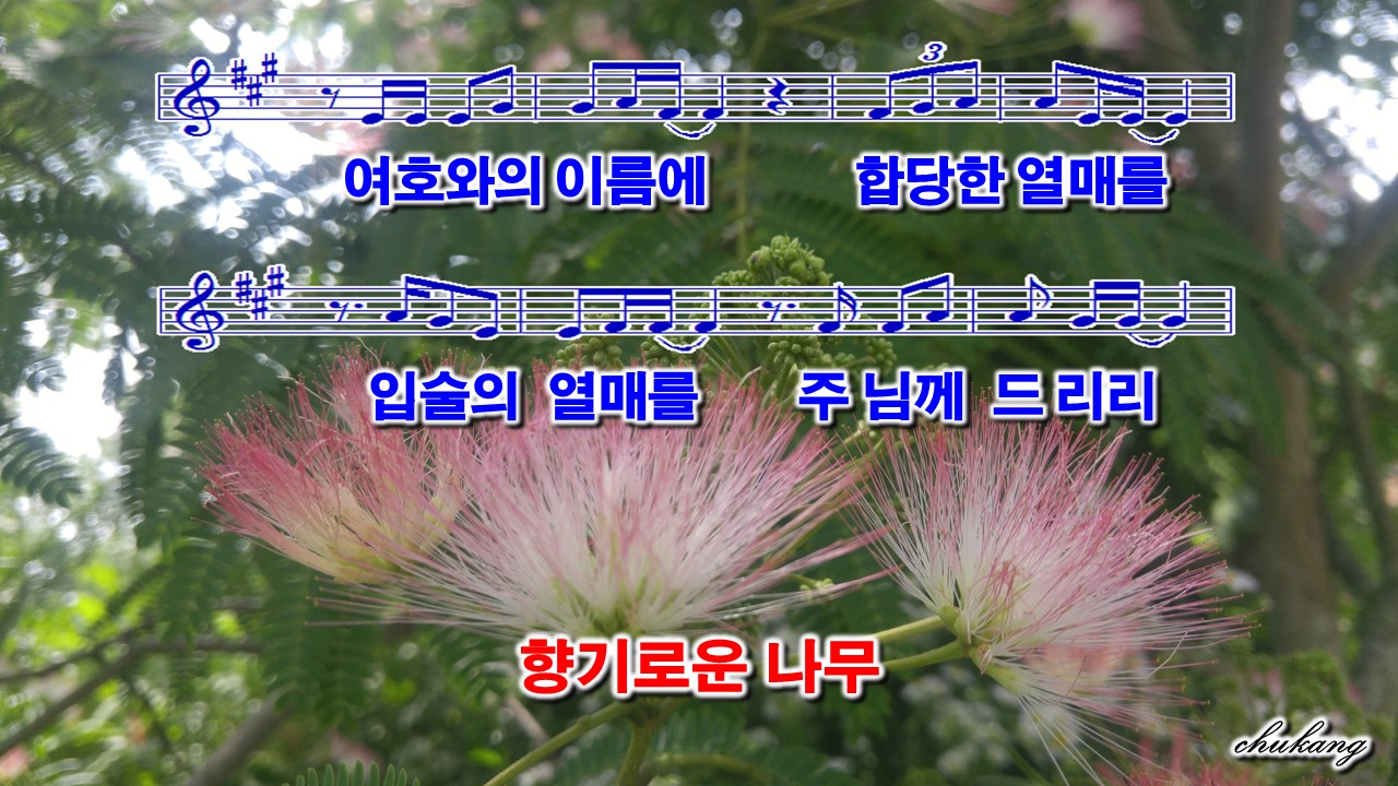 향기로운나무 이미지