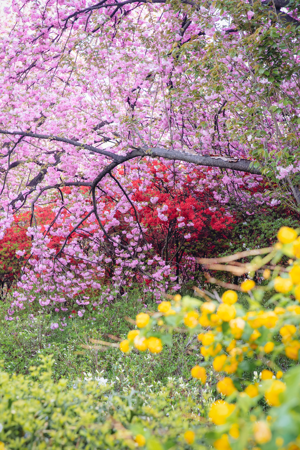 완산(완주) 이미지