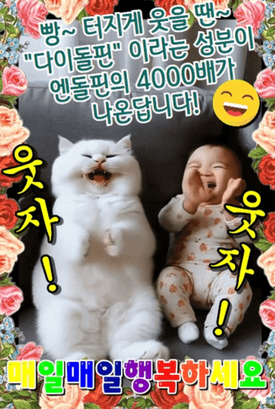 웃자웃자 이미지
