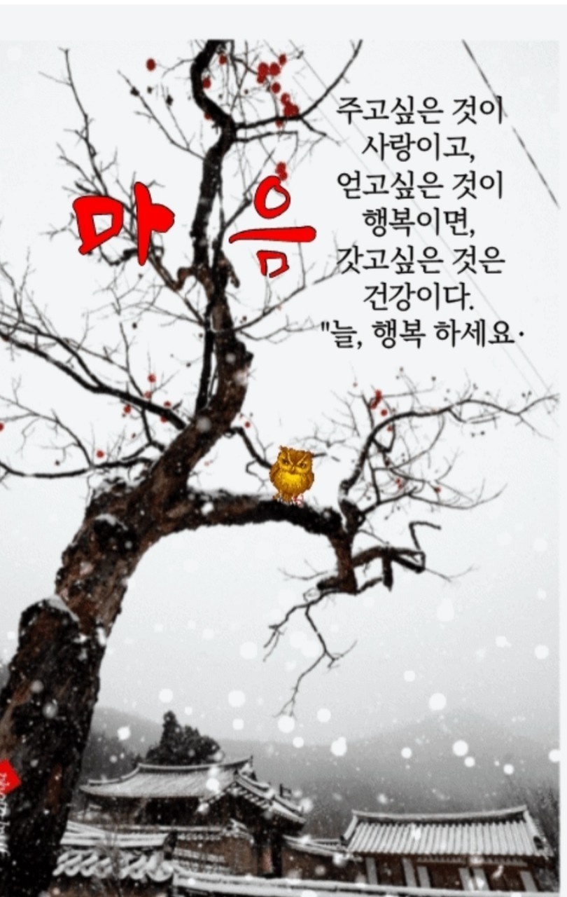 우리;꽃 이미지