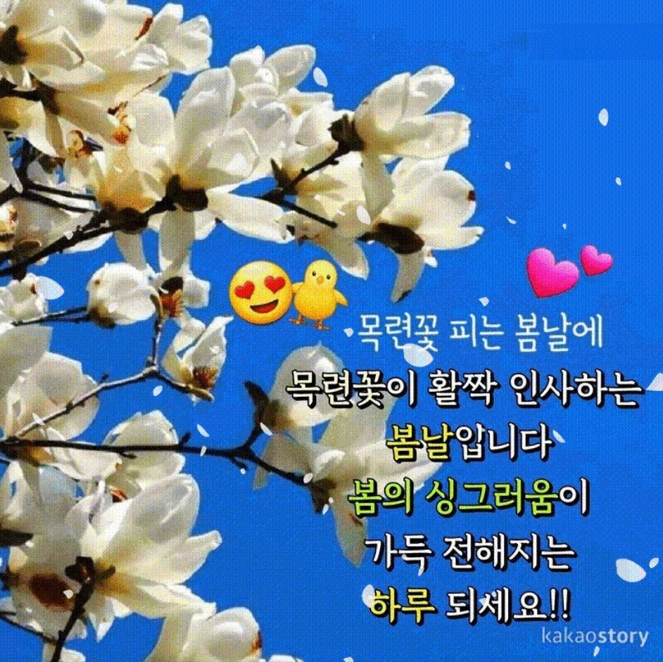 꽃피는봄날 이미지