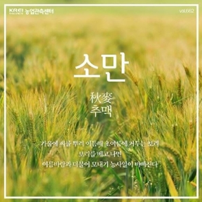 민속만물 이미지