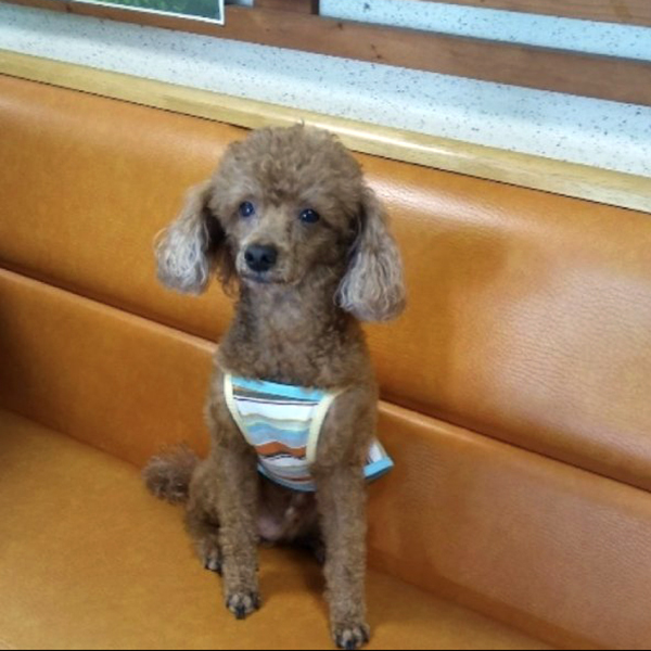 해와달펜션 이미지