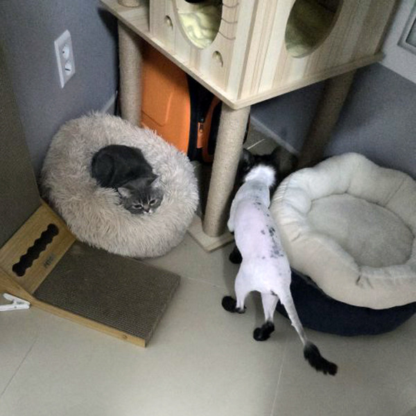 육칠이 이미지