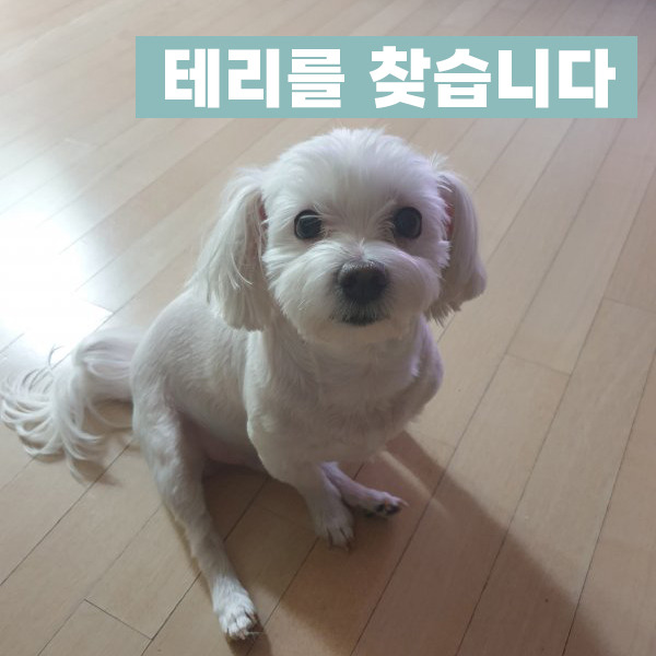 솔샘 이미지