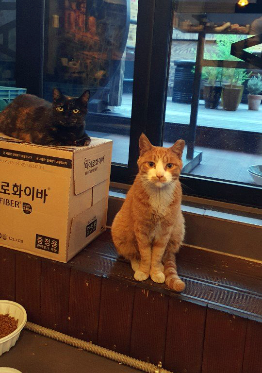 헤어마당 이미지