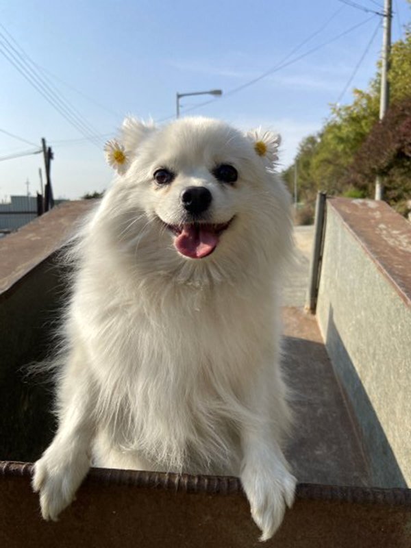 삼봉에너지 이미지