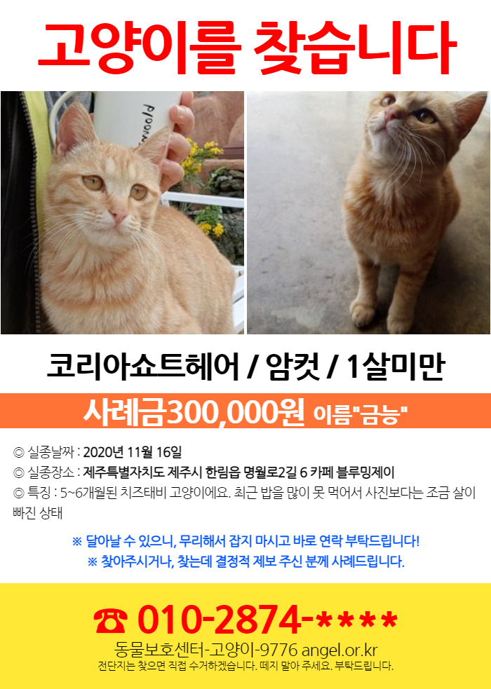 블루밍제이 이미지