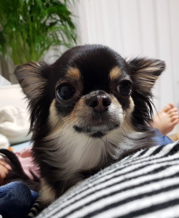금호개발 이미지