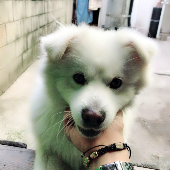 양벌리 이미지