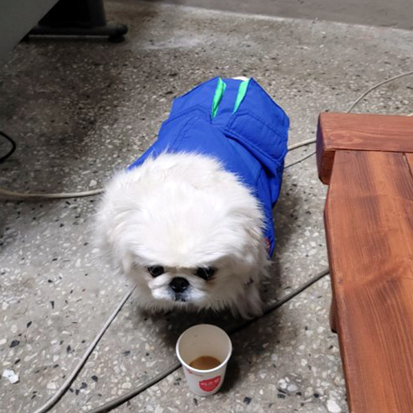 대우인력 이미지