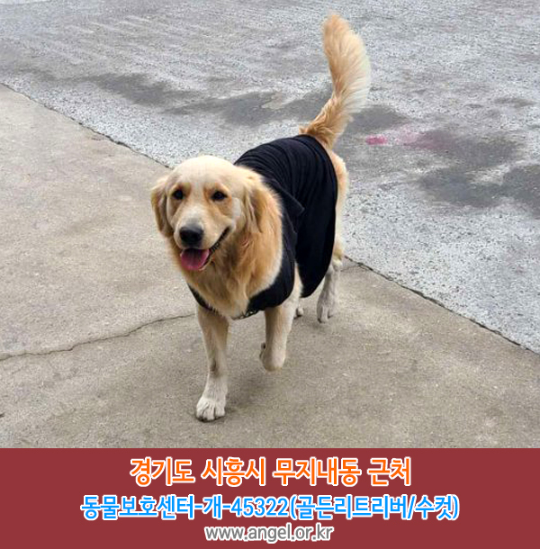 수컷 이미지