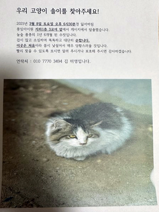 케이지 이미지